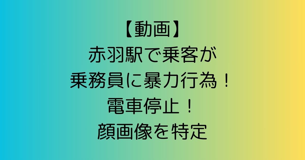 【動画】赤羽駅で乗客が乗務員に暴力行為！電車停止！顔画像を特定